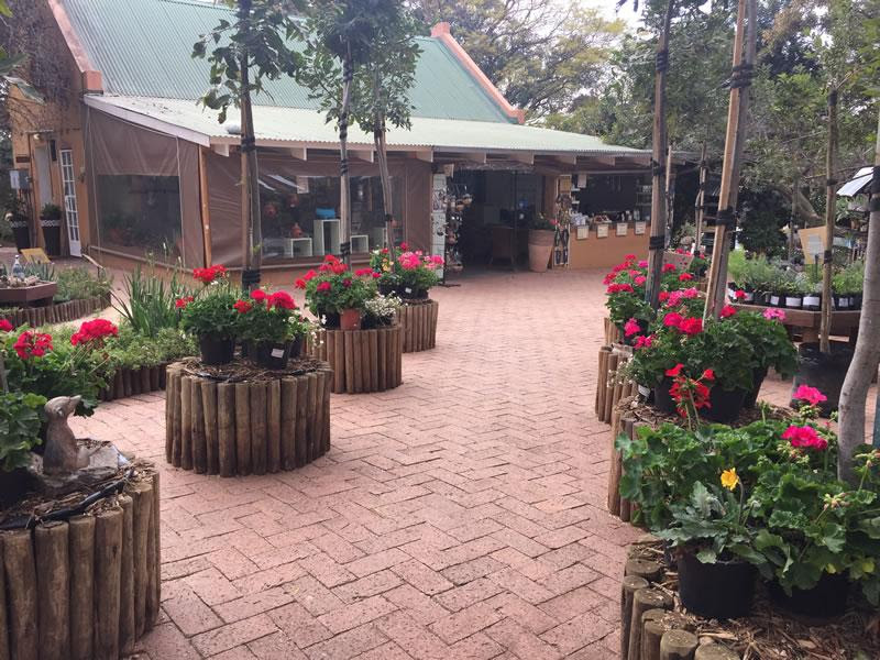 Native Earth Nursery in Blackheath